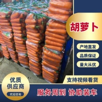 水洗胡萝卜、产地直销，货源充足、规格齐全，