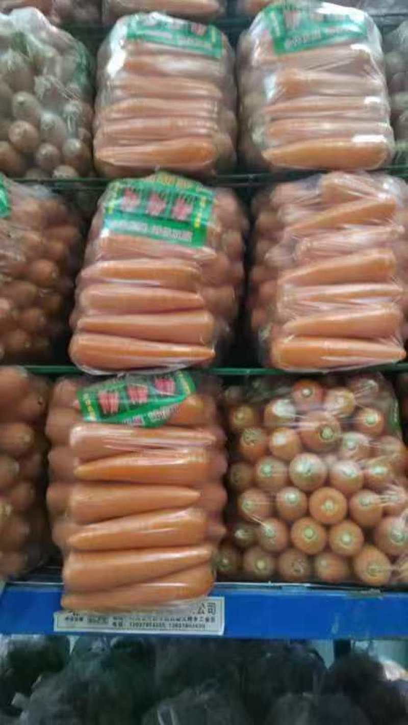 精品中条红萝卜全国发，货量充足基地直供，支持包地入户