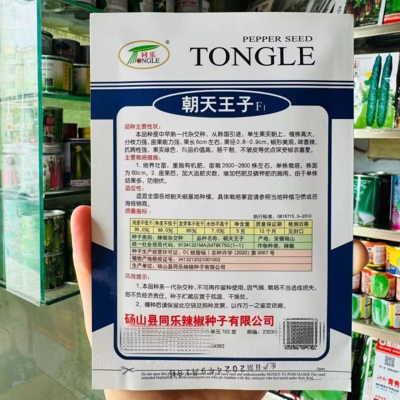 朝天王子单生朝天椒种子中早熟杂交味香辣抗病