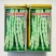 九粒白芸豆种子条直不打弯