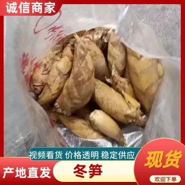 年年农产品冬笋直供基地一手货源质量保证诚信第一