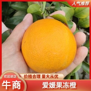 【牛商推荐】爱媛38果冻橙优选货源产地直发欢迎选购