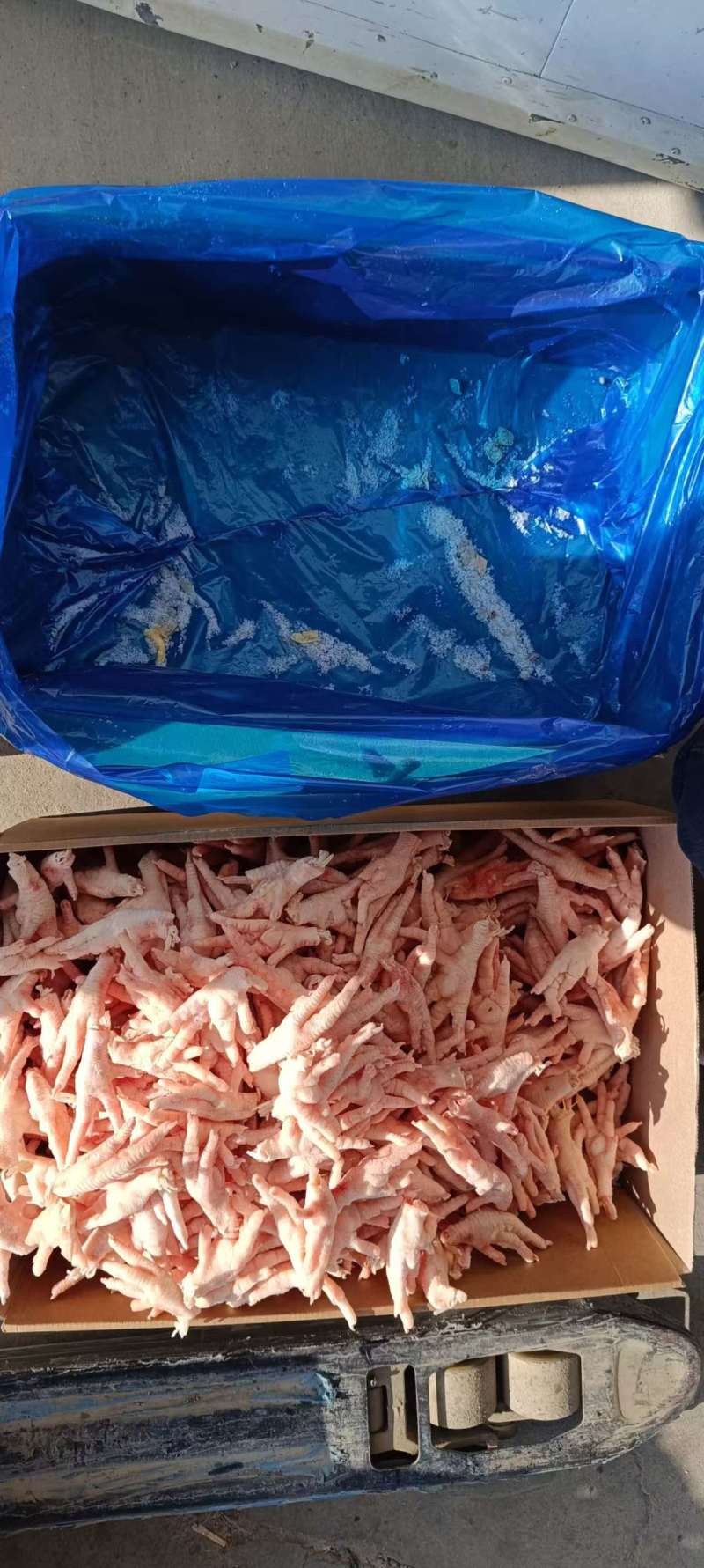 精品凤爪（14公斤装）30克+整柜出货可视频看货欢迎