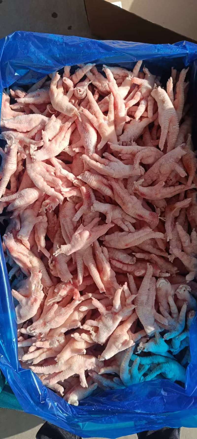 精品凤爪（14公斤装）30克+整柜出货可视频看货欢迎