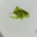 开心果酱400目高品质特绿货源充足量大从优质量保证欢迎咨询