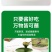 开心果酱400目高品质特绿货源充足量大从优质量保证欢迎咨询