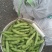 【牛商推荐】新鲜蚕豆无虫眼质量保证价格合理欢迎抢购