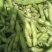 【牛商推荐】新鲜蚕豆无虫眼质量保证价格合理欢迎抢购