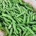 【牛商推荐】新鲜蚕豆无虫眼质量保证价格合理欢迎抢购