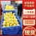 广东菠萝徐闻菠萝小菠萝甜度高清爽可口基地直供
