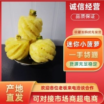 小菠萝迷你小菠萝基地直供一手货源大量有货诚信经营