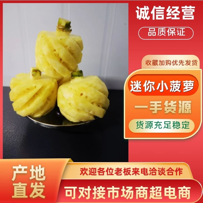 小菠萝迷你小菠萝基地直供一手货源大量有货诚信经营