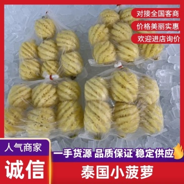 精品小菠萝基地直供大量上市诚信经营一手货源欢迎采购