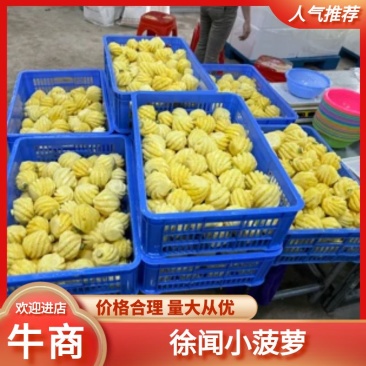 广东省徐闻小菠萝香甜可口，产地没有中间商赚差价