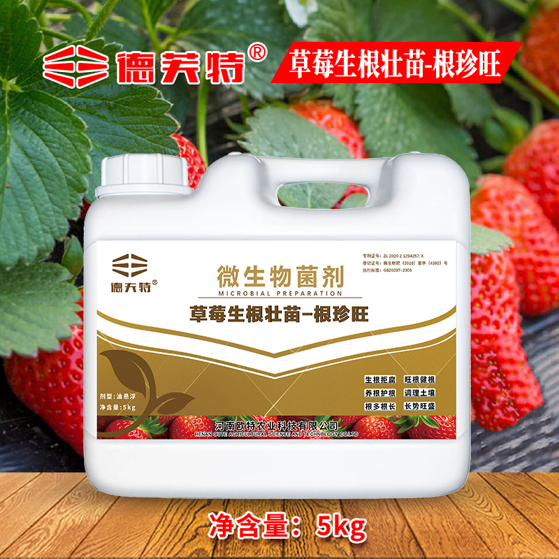 德夫特源头厂家直销草莓专用肥生根壮苗水溶肥旺根冲施肥蔬果