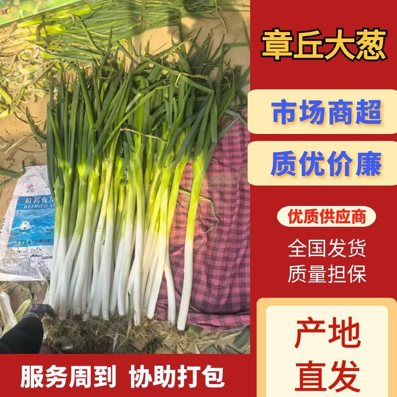 章丘长白大葱，二皮，毛葱，净葱规格齐全电商市场商超