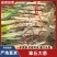 章丘原产地直发，长白葱，精品大葱，二皮货，毛葱，