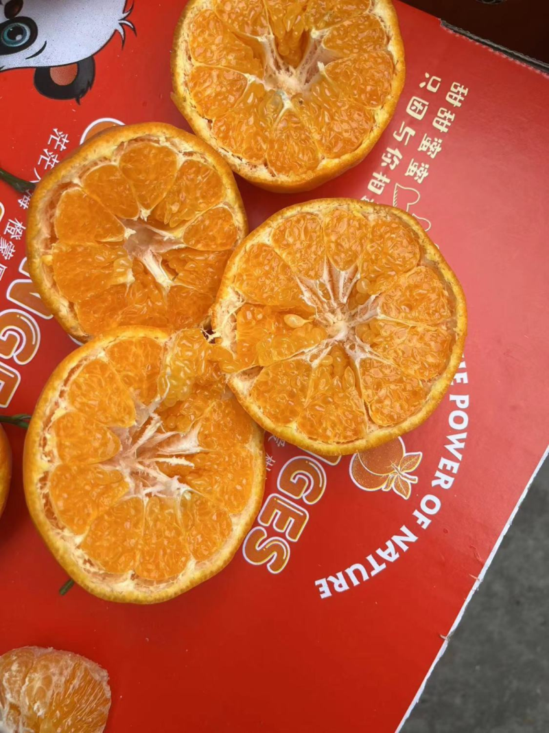 青见柑橘，又甜又化渣，皮薄水分足