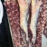 牛脊肉（里脊肉、外脊肉）厂家直销量大质优价格优惠