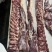 牛脊肉（里脊肉、外脊肉）厂家直销量大质优价格优惠