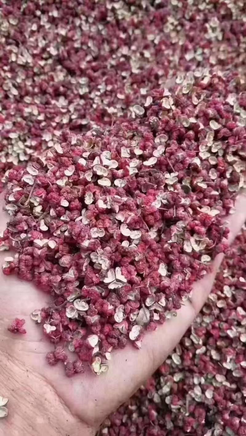 陇南文县大红袍花椒大红袍花椒货源充足价格优惠