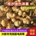 纯沙地白洋姜，货源充足，量大从优，欢迎致电