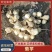 菊芋好洋姜好品质口感柔和细腻基地直供，欢迎致电