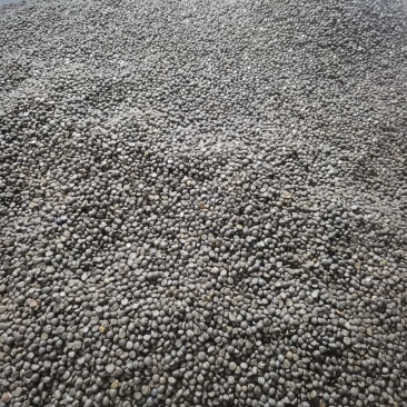 山茶油茶籽精品油茶籽产地直发出油率25%以上