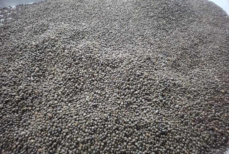 山茶油茶籽精品油茶籽产地直发出油率25%以上