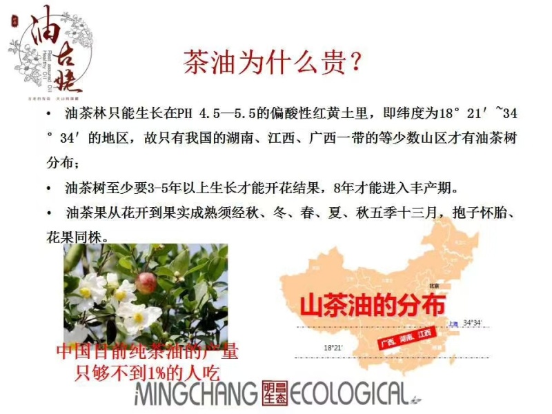 油古姥～一级冷榨山茶油厂家直发对接商超社区团购等