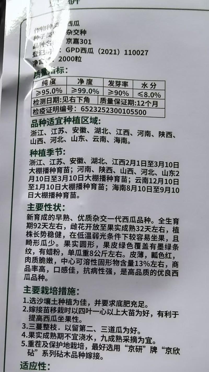 京佳西瓜苗产地直发对接全国客商可视频看货
