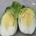 精品黄心大白菜3一6斤，面积大，货量多，质量好