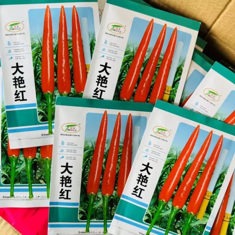 大艳红朝天椒种子椒条顺直光滑果实钝尖高辣