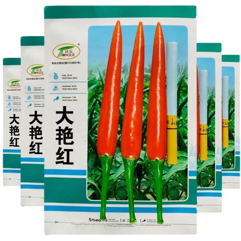 大艳红朝天椒种子椒条顺直光滑果实钝尖高辣