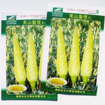 羌山皇佳小米椒种子单生朝天椒种子辣味强