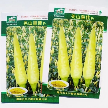 羌山皇佳小米椒种子单生朝天椒种子辣味强