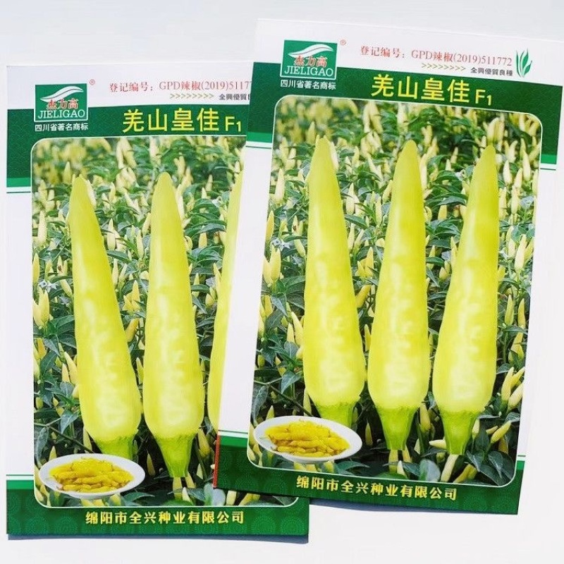 羌山皇佳小米椒种子单生朝天椒种子辣味强