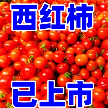 【精选西红柿】，电商，社区团购，零售，批发