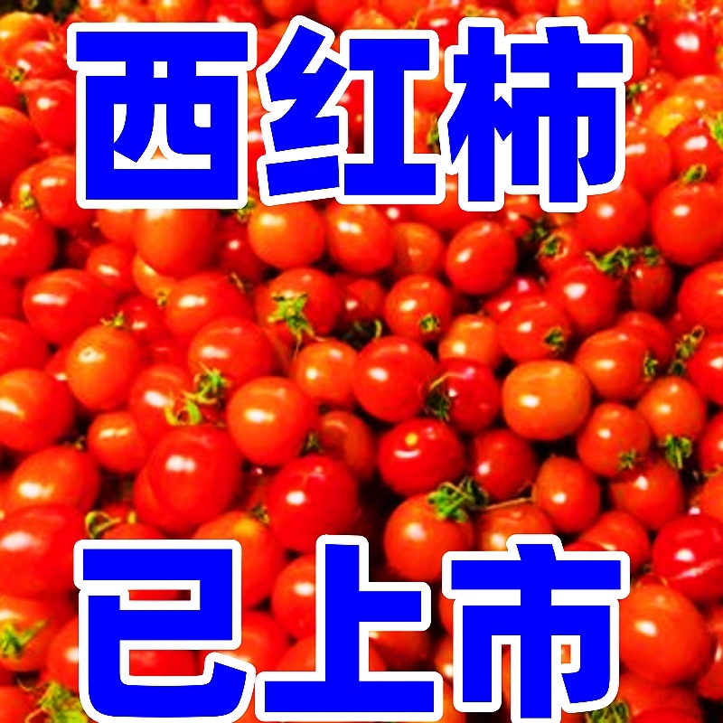【精选西红柿】，电商，社区团购，零售，批发