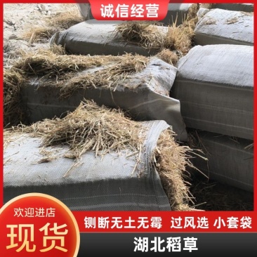 湖北稻草铡断无土无霉精品，过风选，小套袋，对接全国