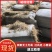湖北稻草铡断无土无霉精品，过风选，小套袋，对接全国