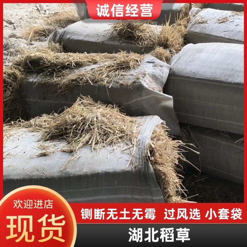 湖北稻草铡断无土无霉精品，过风选，小套袋，对接全国