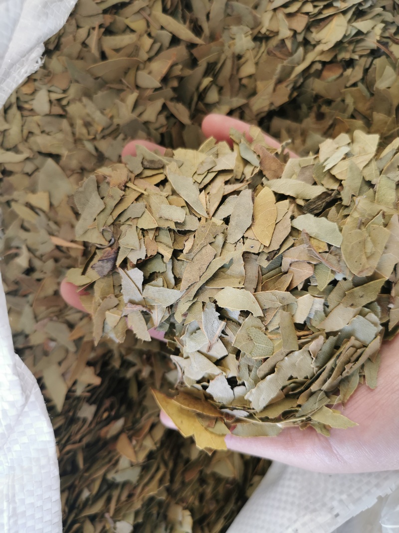 进口香叶碎香料打粉神器干净港口一手货源整件从优大货联系