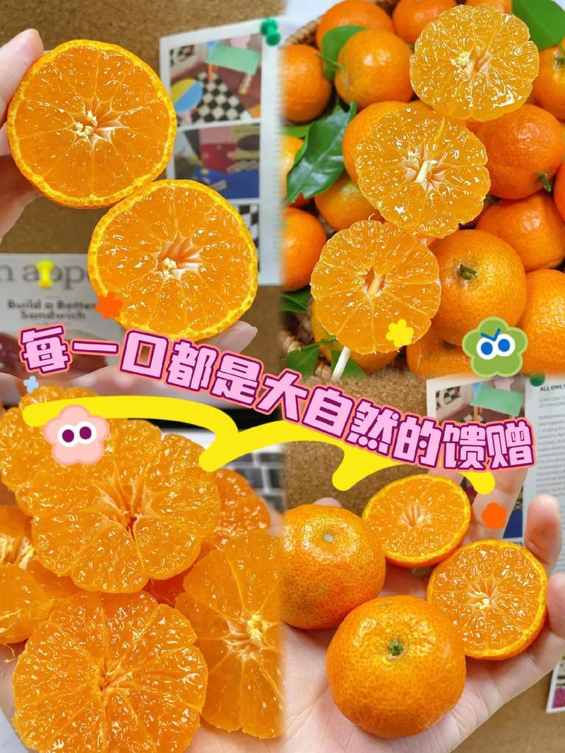 桂林产地直供一件代发沙糖桔，礼品包装承接电商直播带货