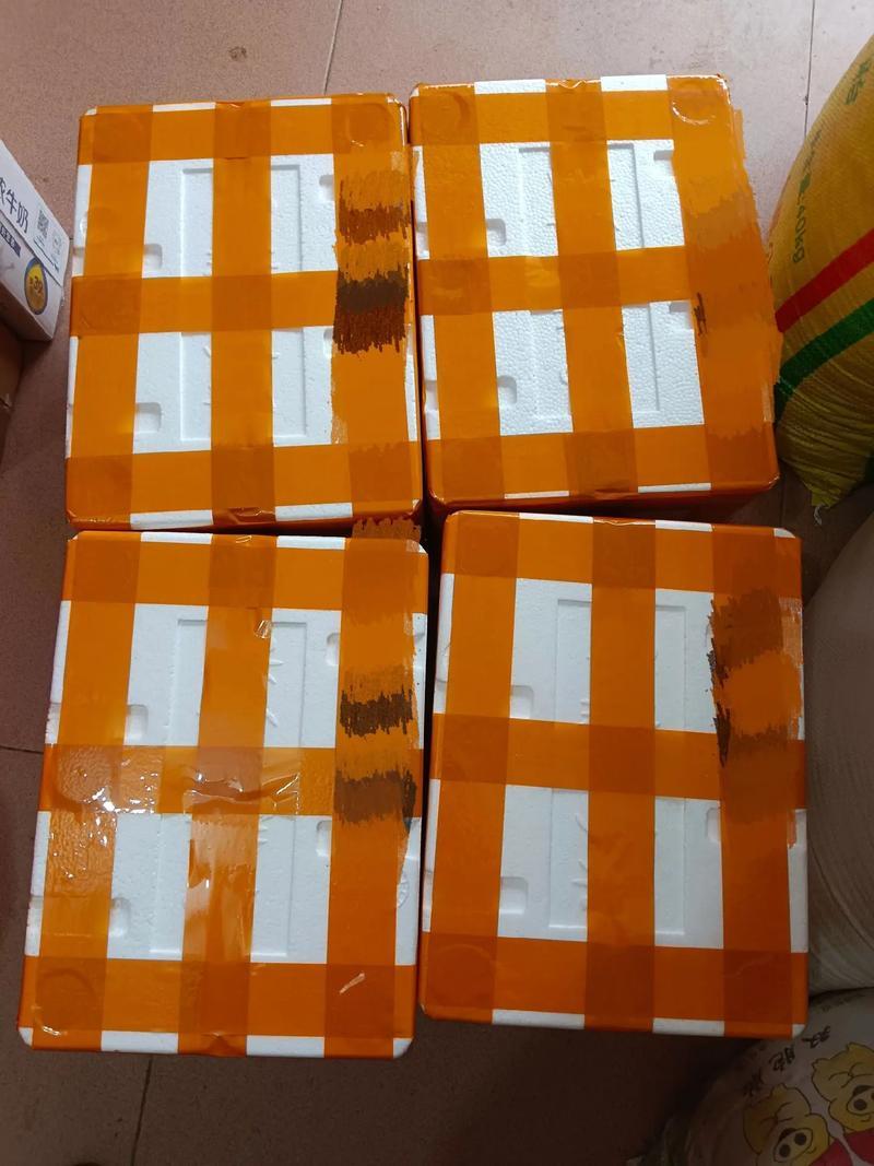 桂林产地直供一件代发沙糖桔，礼品包装承接电商直播带货