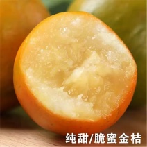 脆蜜金桔好吃不贵产地直发一手货源量大价优欢迎咨询