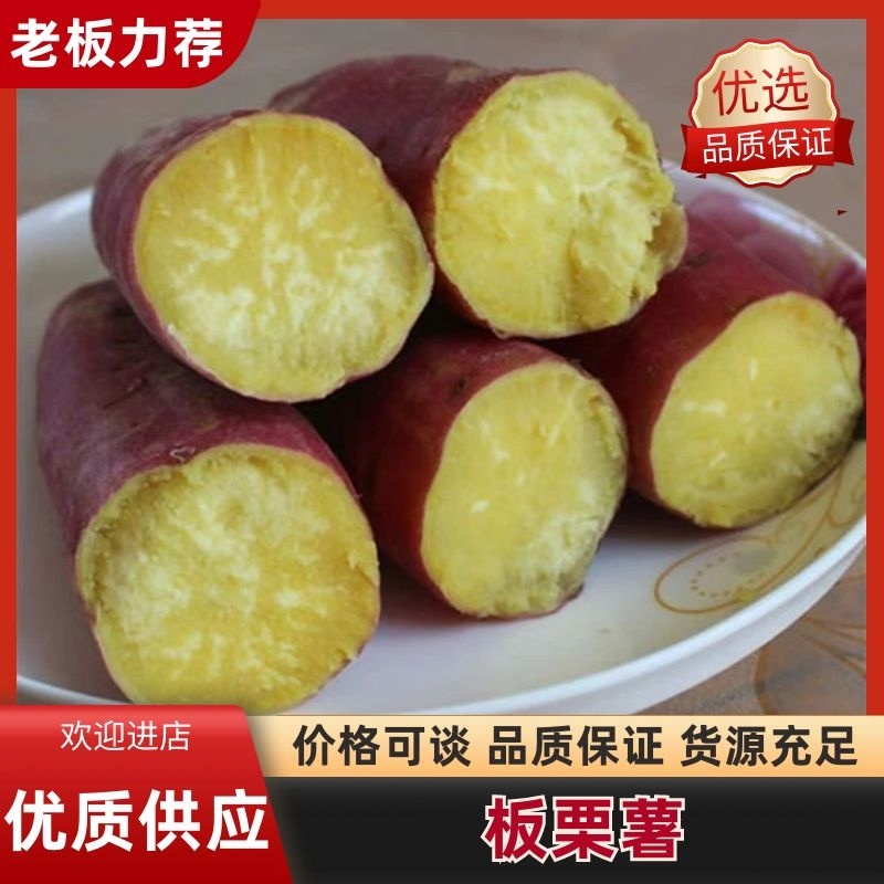 板栗薯口感好，质量佳，基地发货，全国发货诚邀老板致电