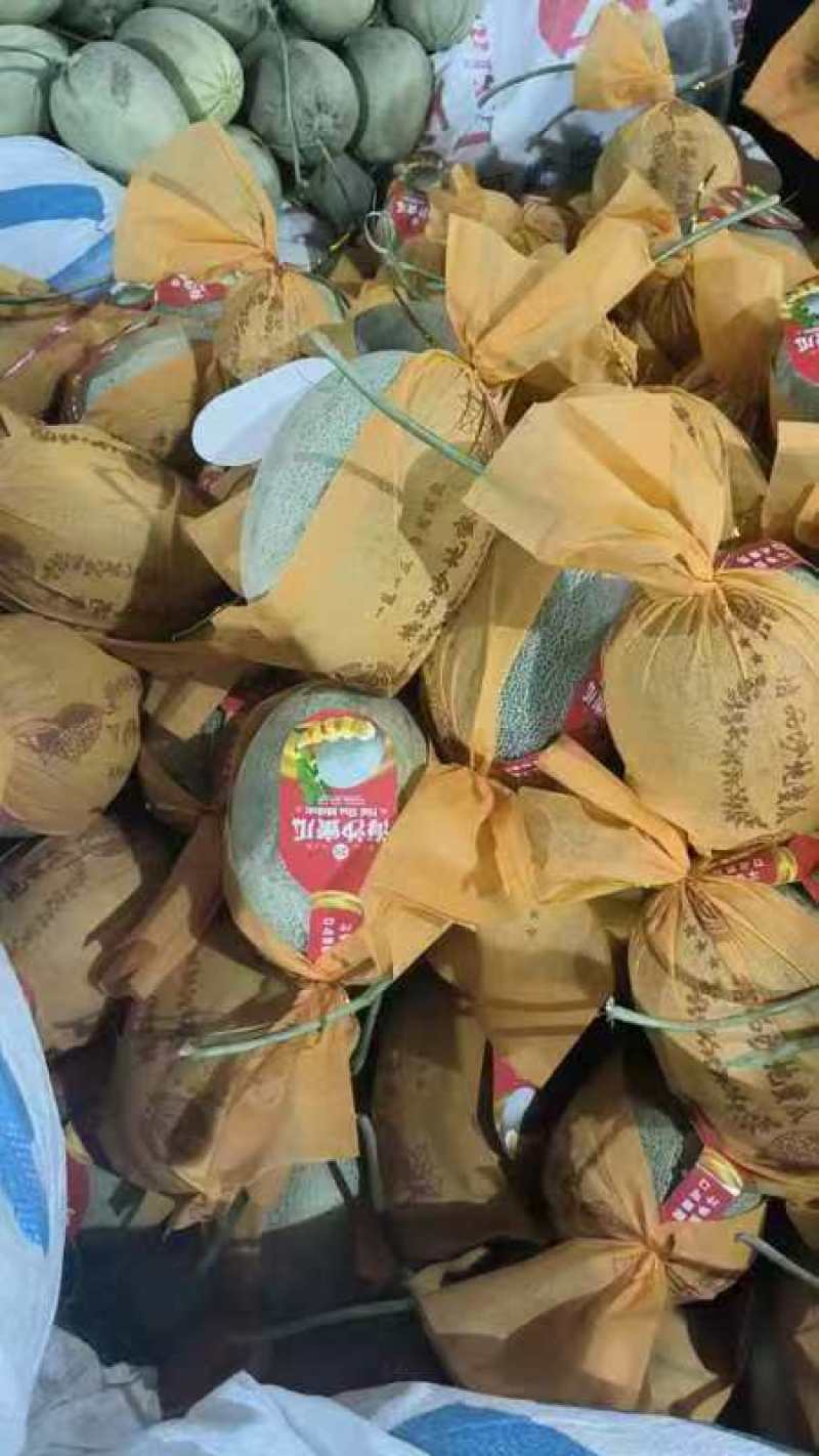 精品小蜜蜂哈密瓜，品质保证诚信合作量大从优欢迎来