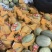 精品小蜜蜂哈密瓜，品质保证诚信合作量大从优欢迎来