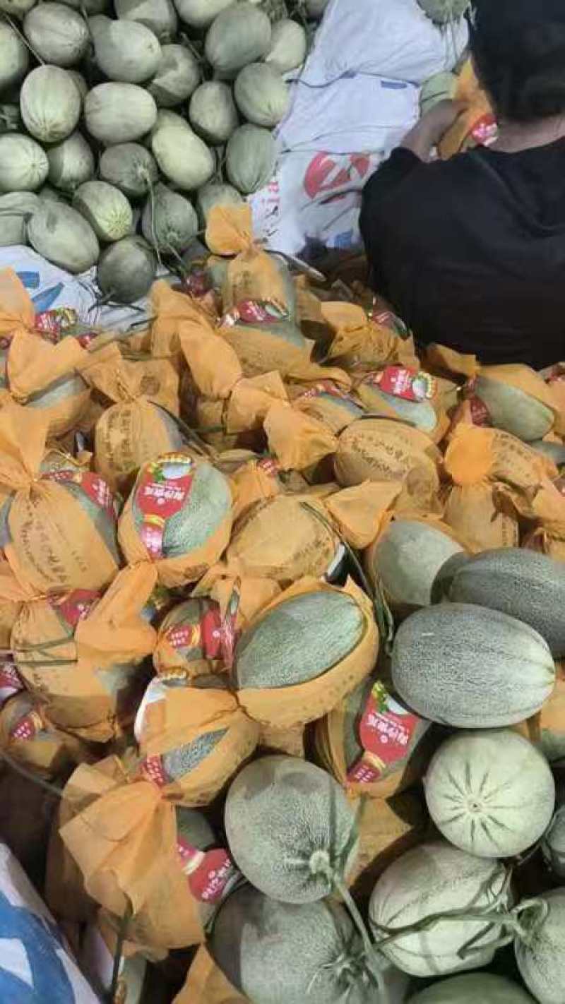 精品小蜜蜂哈密瓜，品质保证诚信合作量大从优欢迎来